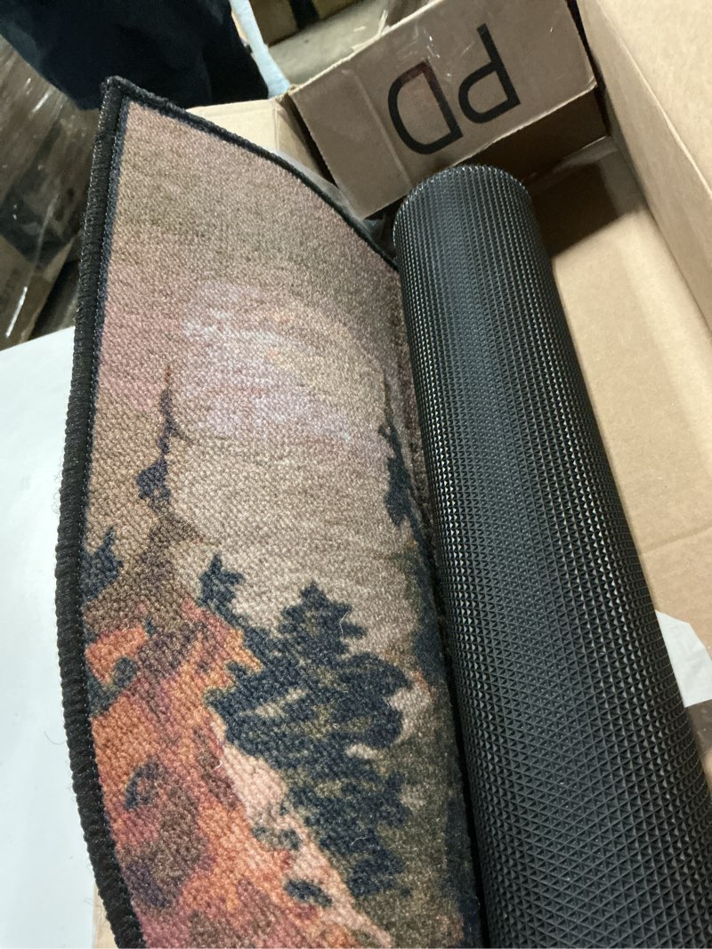 Condition photo showing Good Condition for Demissle Fireplace Hearth Rug Fireplace Mats Cabin Southwestern Fireproof Fire Resistant Rug for Wood Stove Floor for Kitchen Indoor Outdoor(Watercolor Deer,24 x 59 Inch) 2' x 4'11" (Rectangular) Watercolor Deer