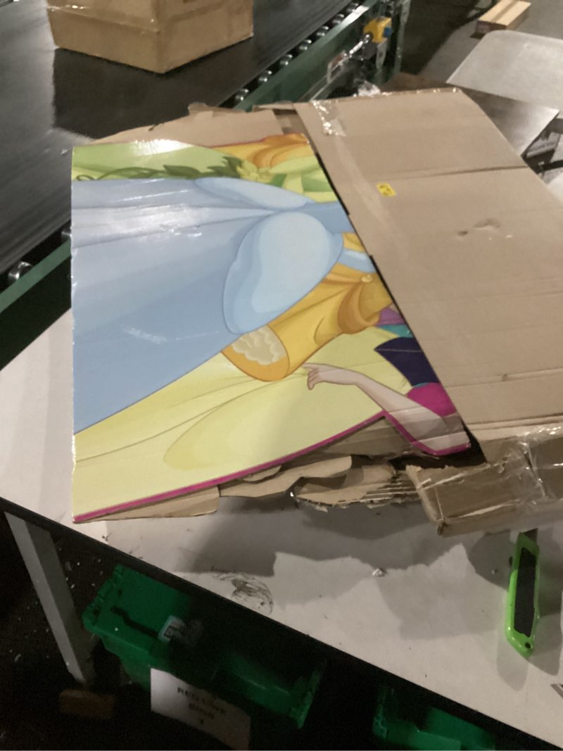 Condition photo showing As Is for Cardboard People Princess Collage Life Size Cardboard Cutout Standup - Disney