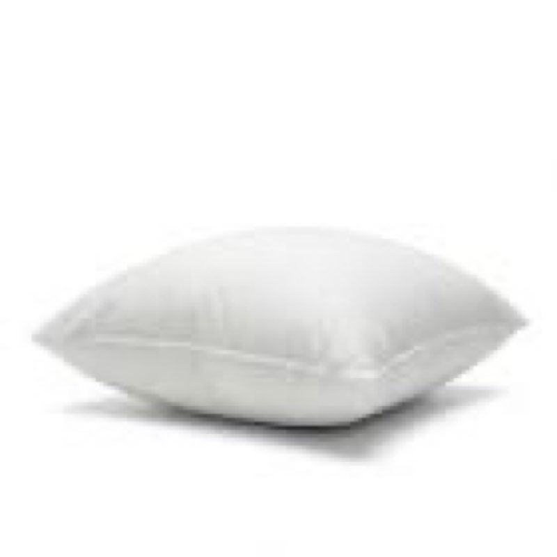 Premium Feather Pillow Insert (Set of 1), 20x20, No Color