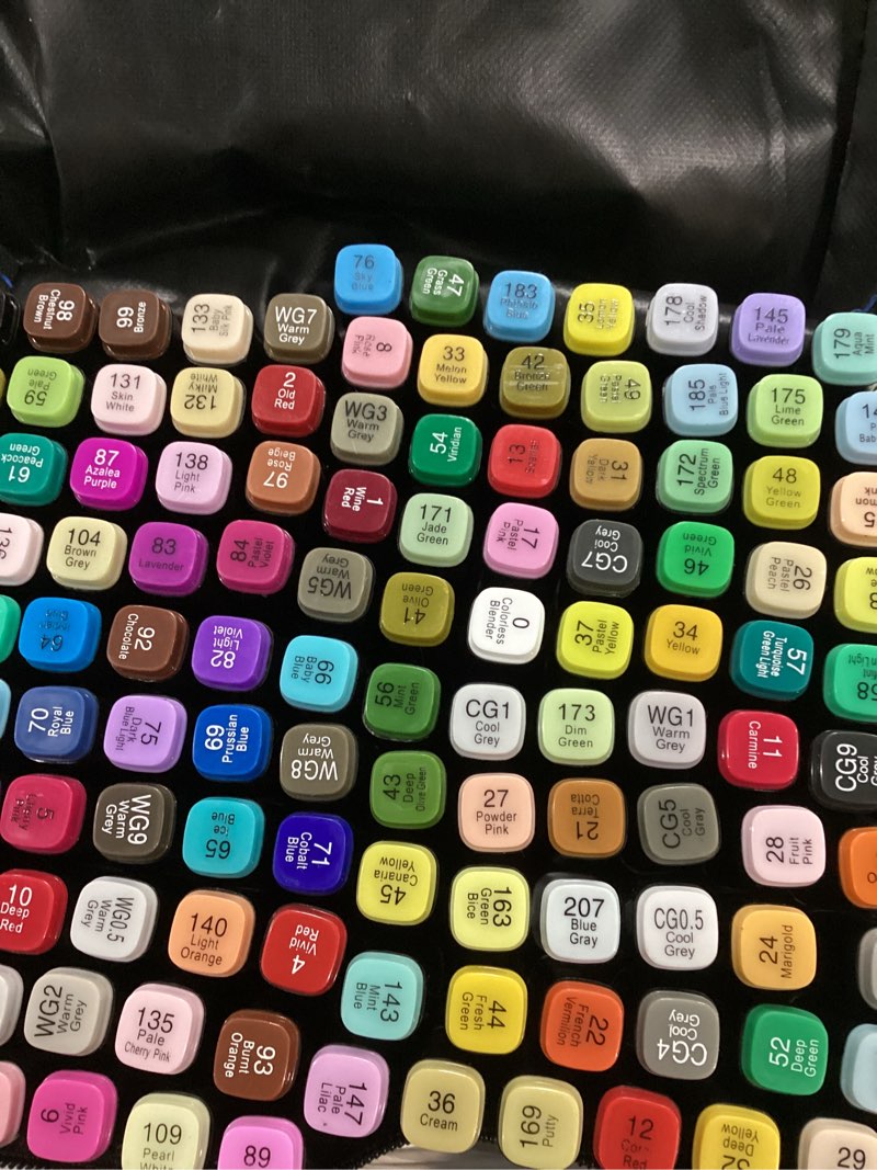 Condition photo showing Good Condition for 120 Colors Alcohol Markers Artist Drawing Art Markers for Kids Dual Tip Markers for Adult Coloring Painting Supplies Perfect for Gift(120 Black Shell) Black 120