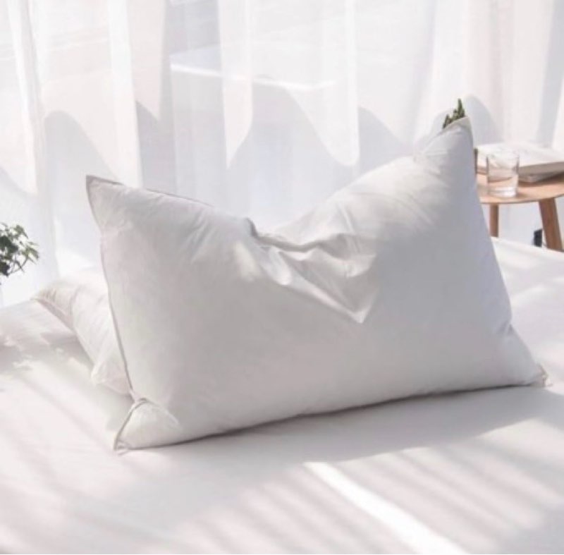 Luxury Soft Down Pillows Standard Size Set of 2, High Support Feather Pillows with 750 Fill Power, 6