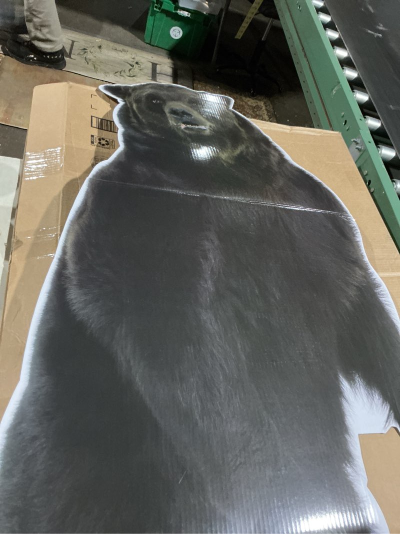 Condition photo showing As Is for Cardboard People Brown Bear Life Size Cardboard Cutout Standup