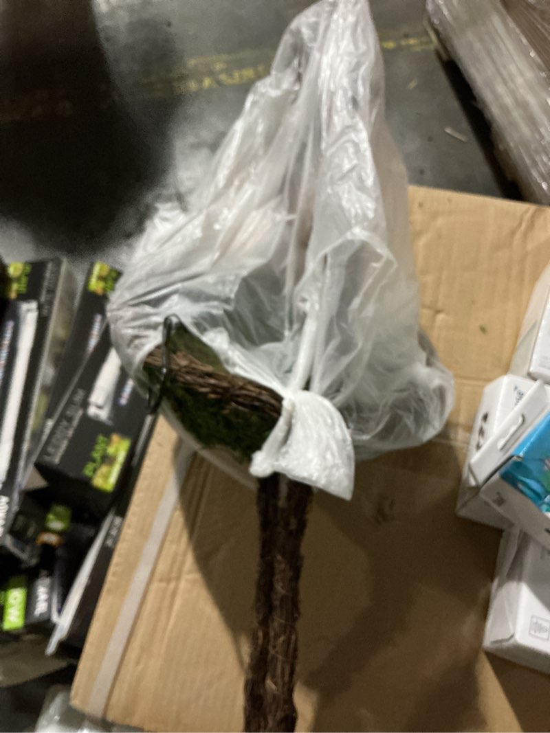 Condition photo showing New/Like New for SuperMoss (56901) Woven Bird Feeder, 9.5", Dove (B01C5RTZEC)