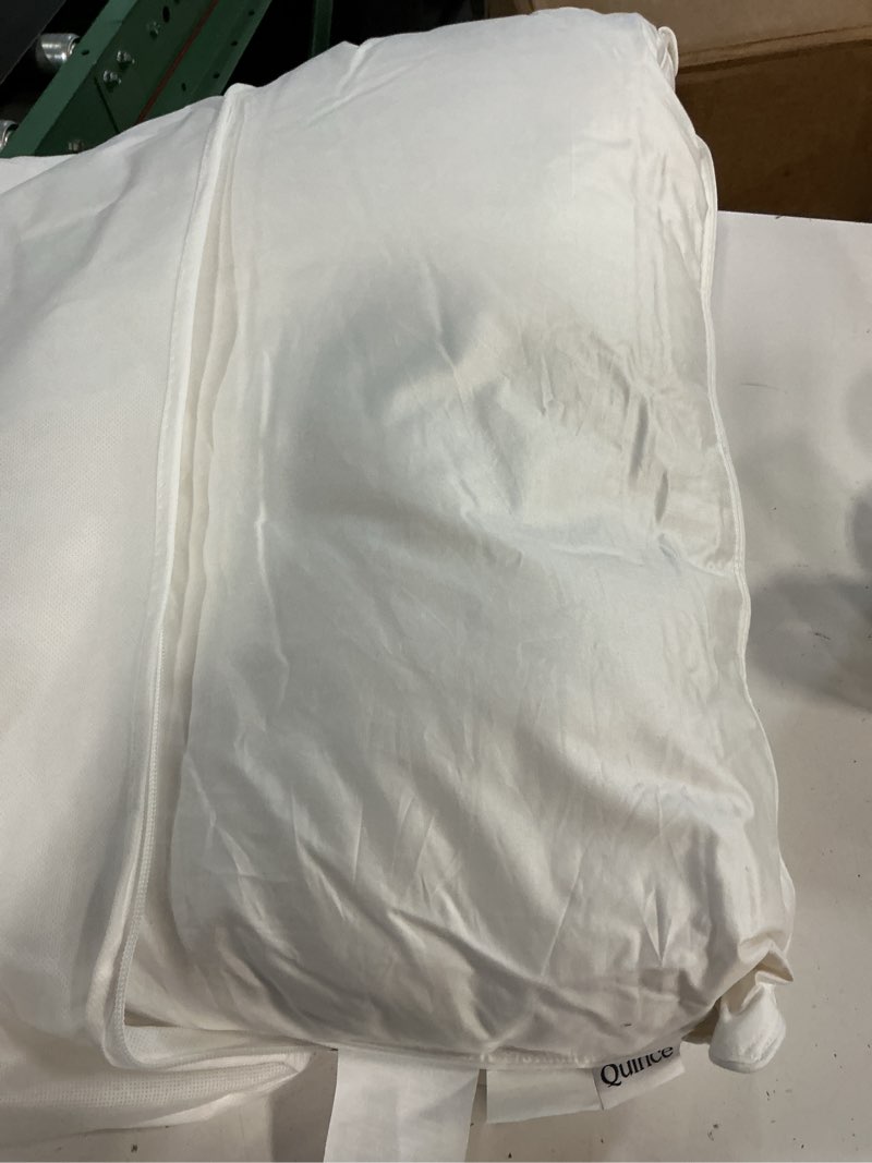 Condition photo showing Good Condition for luxe goose down pillow medium