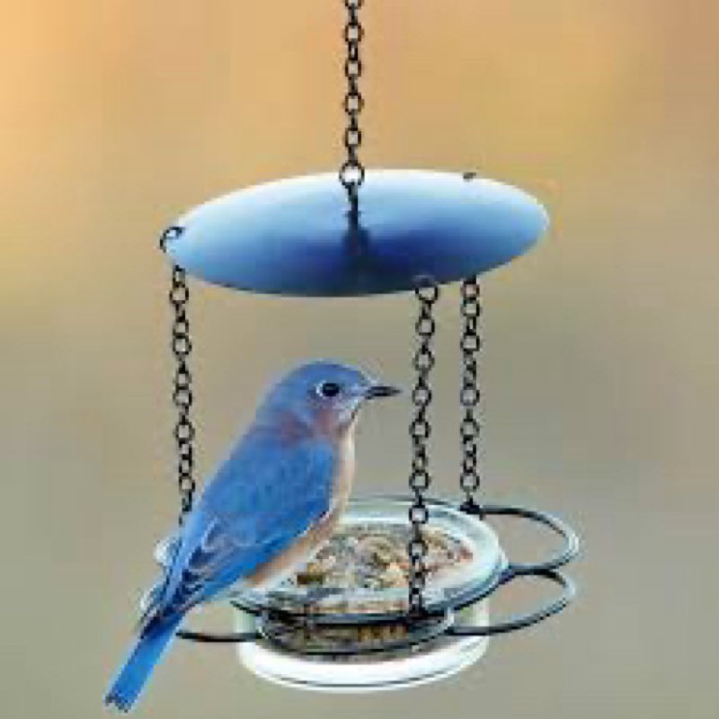 Mosaic Birds Floral Bird Feeder 