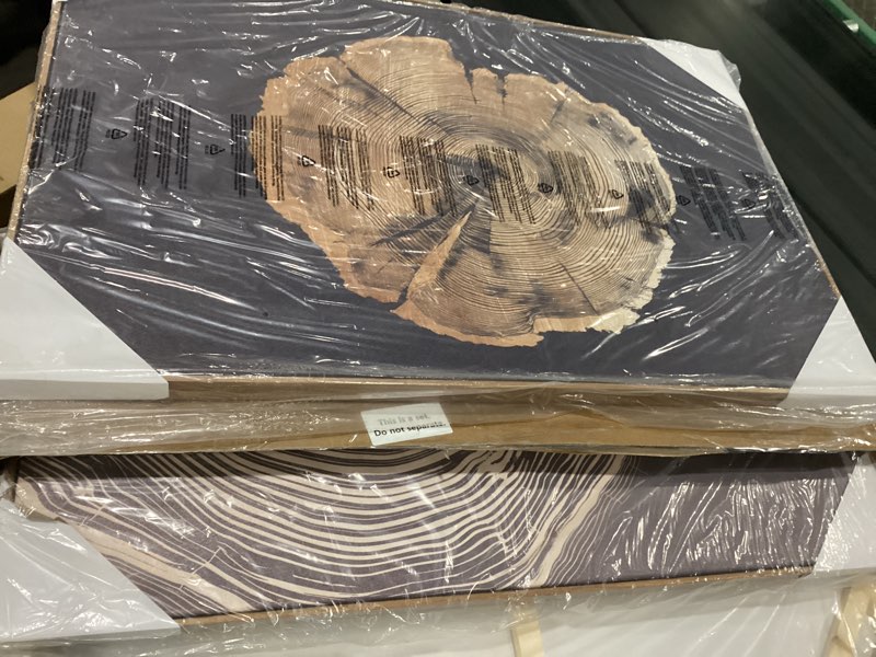 Zessonic Vintage Tree Ring Wall Art - Abstract Wood Rings Neutral Botanical Art, Large Elden Wooden 