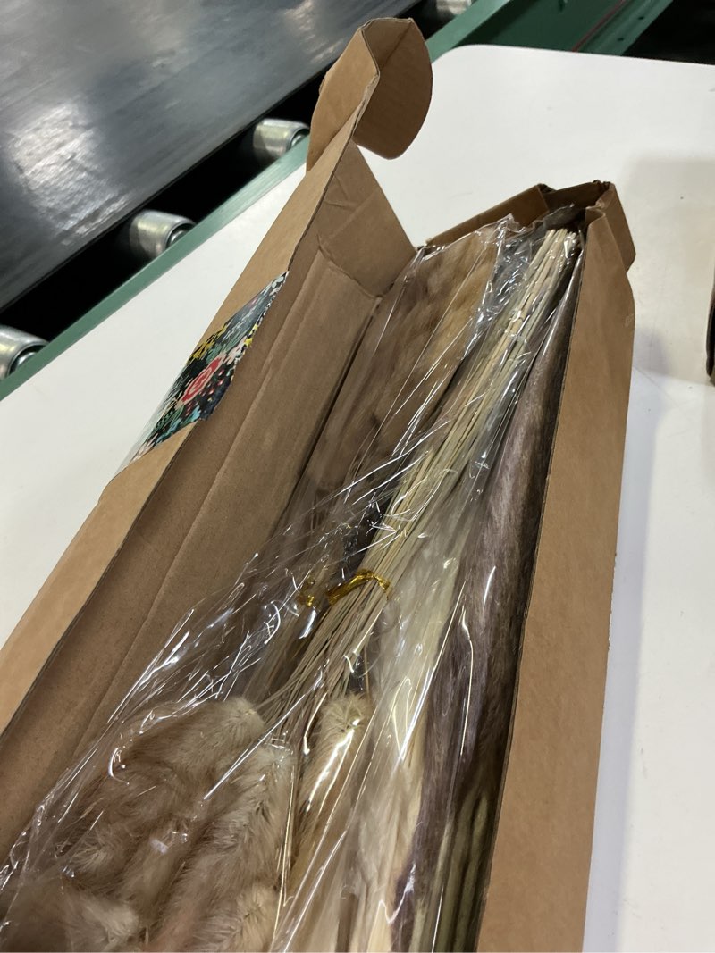 Condition photo showing Good Condition for 200pcs dried flower bouquet – pampas grass, floral decor for home, wedding, and boho style | perfect for vases, fall, spring, summer, and winter arrangements