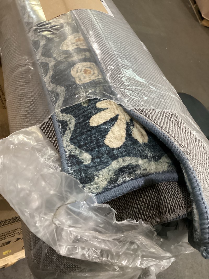 Large area rug, (6x?) product info unknown 