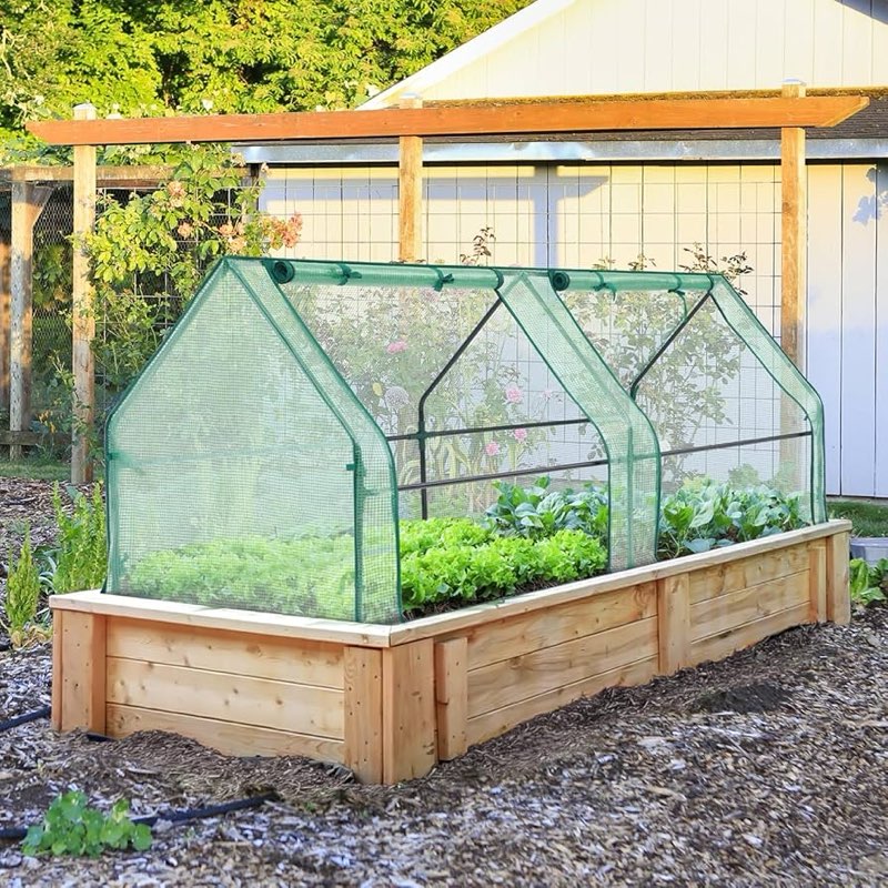 yesker mini greenhouse 71"x36"x36" portable small green house for indoor outdoor greenhouses with pv