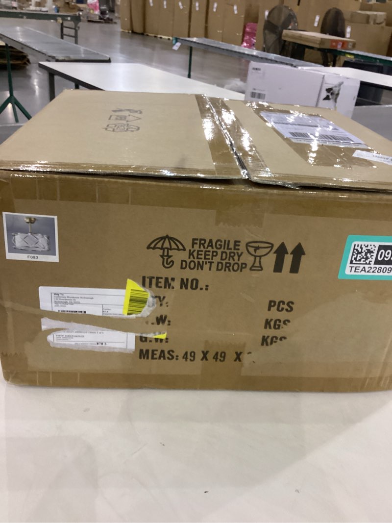 19'' modern ceiling fan with light