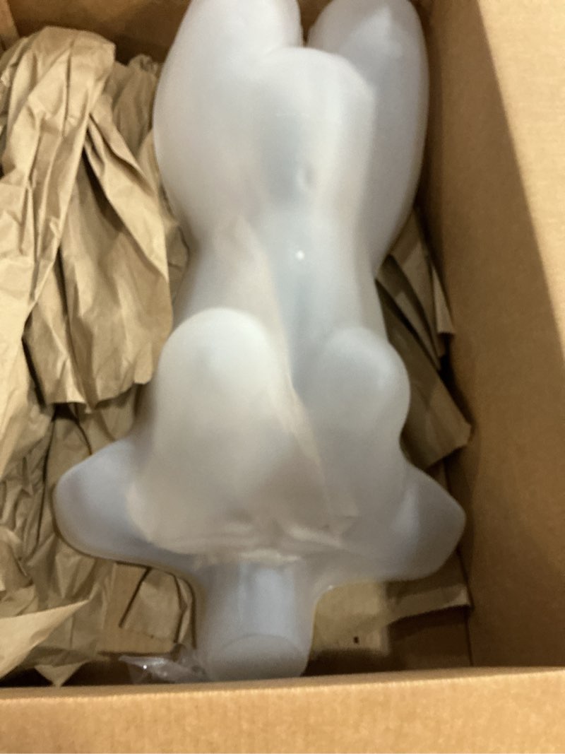 Condition photo showing Good Condition for SSWBasics Female Mannequin Torso - Fits Women’s Sizes 5-10 - Molded, Shatterproof &