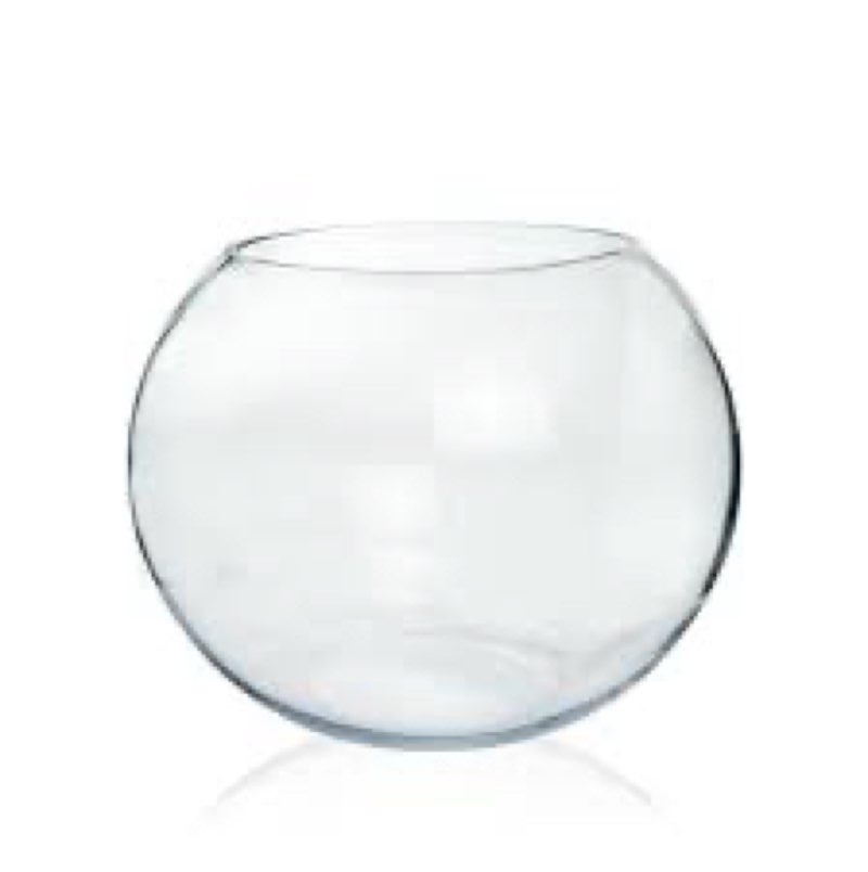 Craft And Party, Glass Bubble Vase, 8" Height x 10" Width Glass Fish Bowl, Bubble Bowl for Terrarium