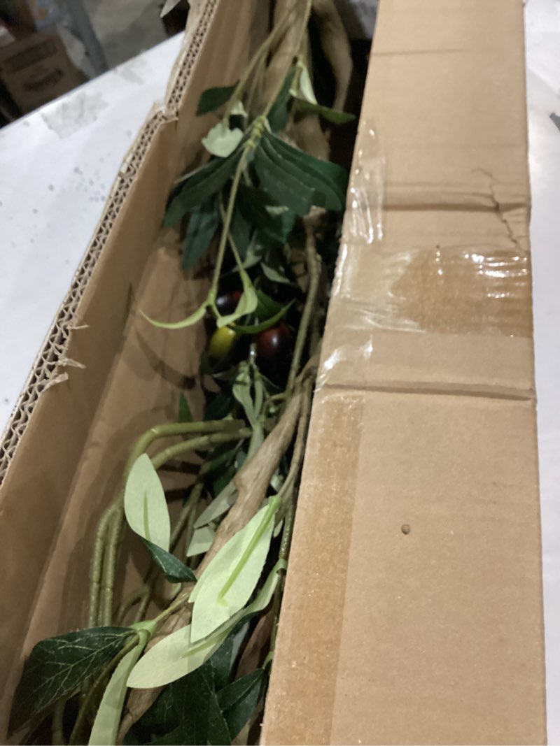 Condition photo showing Good Condition for Bellacat Faux Olive Tree 7ft?Olive Trees Artificial Indoor with Natural Wood Trunk and Realistic Leaves and Fruits. 7 Feet(84in) Fake Olive Tree for Home House Office Décor. 1 7ft