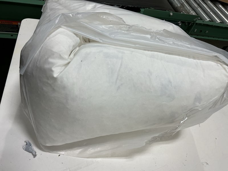 Condition photo showing As Is for premium feather pillow insert, 12x48, no color