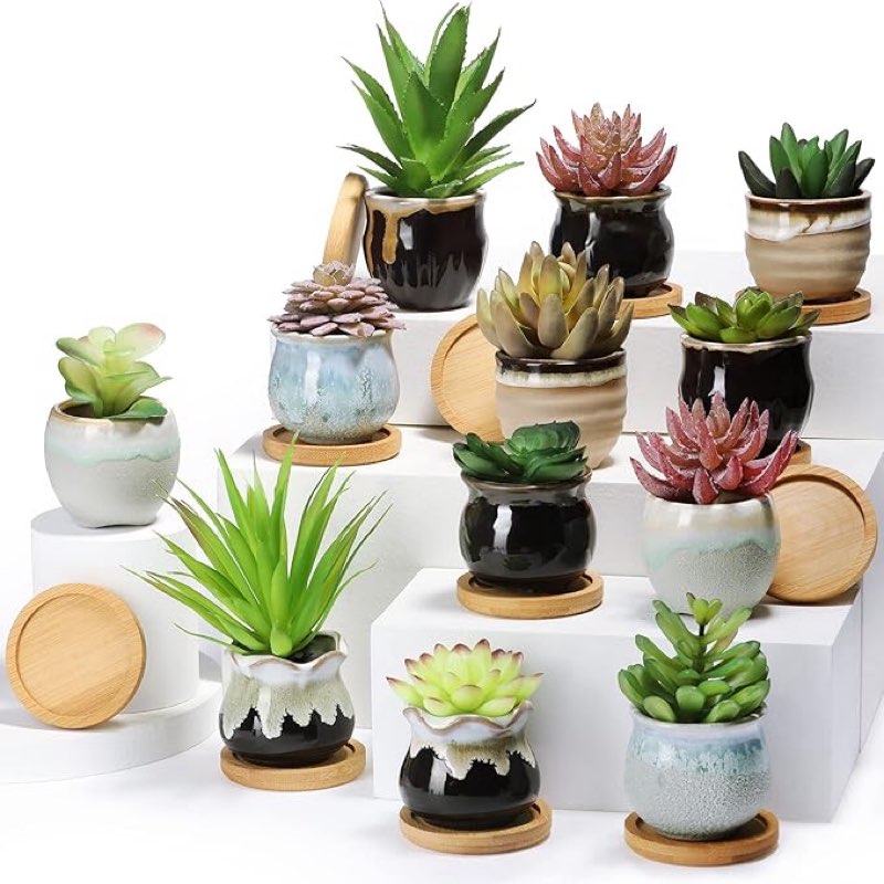 Ferrochef 24 Pcs 2.7 Inch Small Succulent Plant Ceramic Pot with Drainage Hole, Cute Mini Succulent 