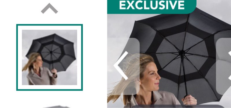 The Wind Defying Packable Umbrella