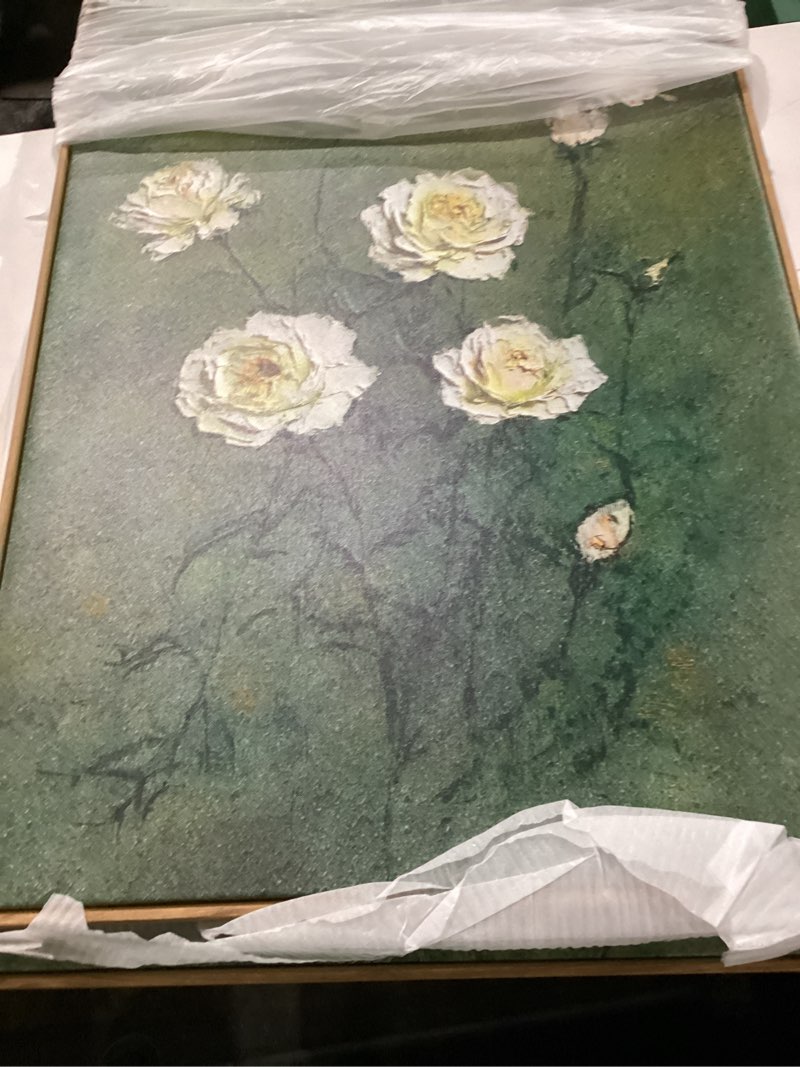 Condition photo showing New/Like New for lhiuem vintage moody white roses framed canvas wall art,abstract flower green wall decor,nature floral butterfly wall painting,aesthetic blossom artwork for living room,dining room,office-24 x36 x3 vintage white rose wall art 24"x36"x3