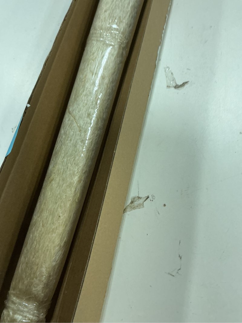 Condition photo showing Good Condition for 55" inch scarcity natural pampas grass decor tall, pompas grass, tall pampas grass for wedding, party, farmhouse, boho home decor