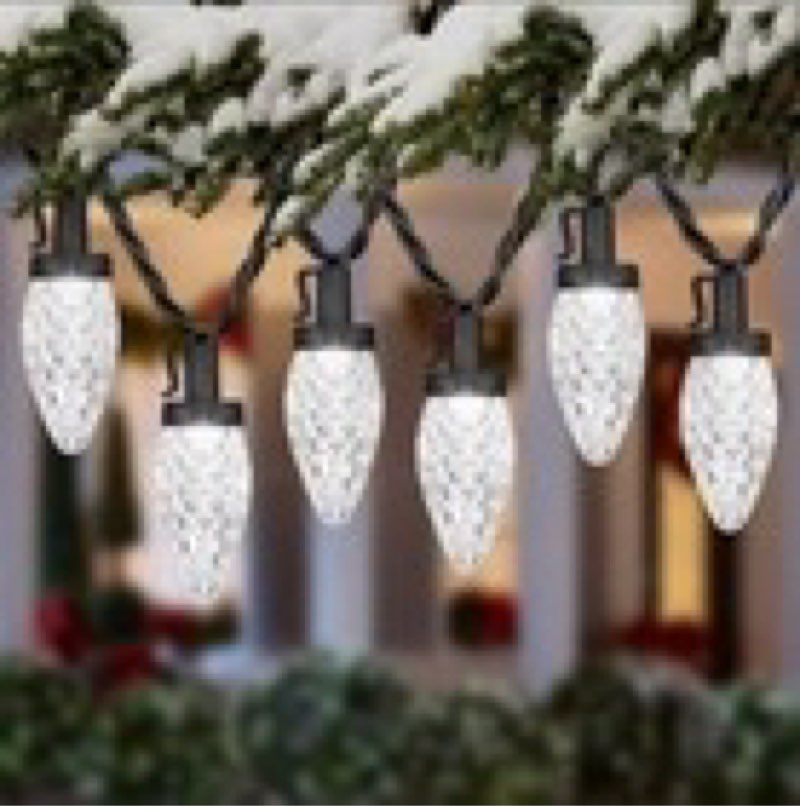 Gemmy Lightshow Color Motion 24 Count C9 White LED Christmas String Lights