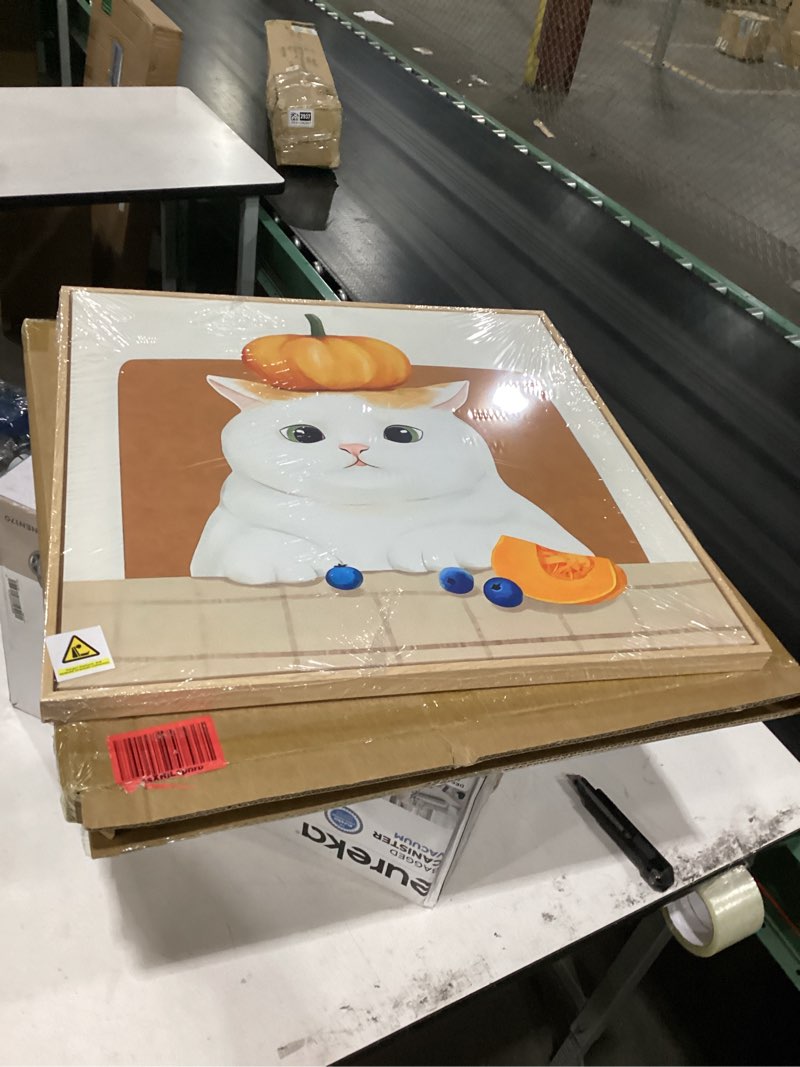 Condition photo showing New/Like New for framed cat canvas wall art, funny cats picture prints paintings, large cute orange and white animal artwork for living room bedroom nursery wall decor 24x24 inch 24"l x 24"w orange and beige