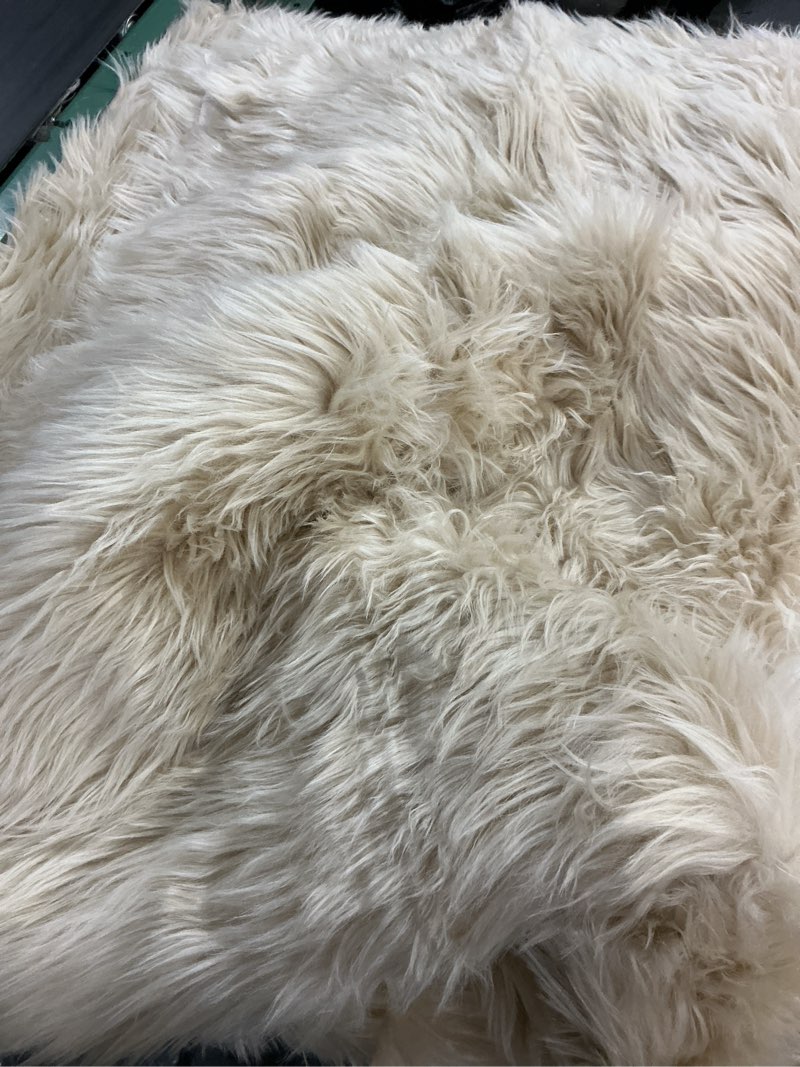 Condition photo showing Good Condition for lambzy '' lena collection '' faux sheepskin super soft hypoallergenic rectangular area rug plush fur premium shag(4’\\\\\\\"x6', cream)