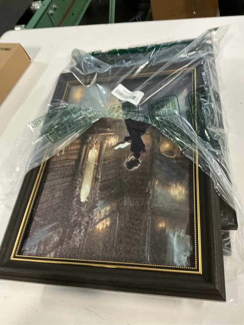 Condition photo showing Good Condition for rvetngvm 3pcs gothic wall art halloween wall decor,dark academia library paintings ,victorian woman reading vintage bookish literary,raven couple in dark forest for bathroom living room decor framed 12"x16" framed gothic raven 16''lx12''w
