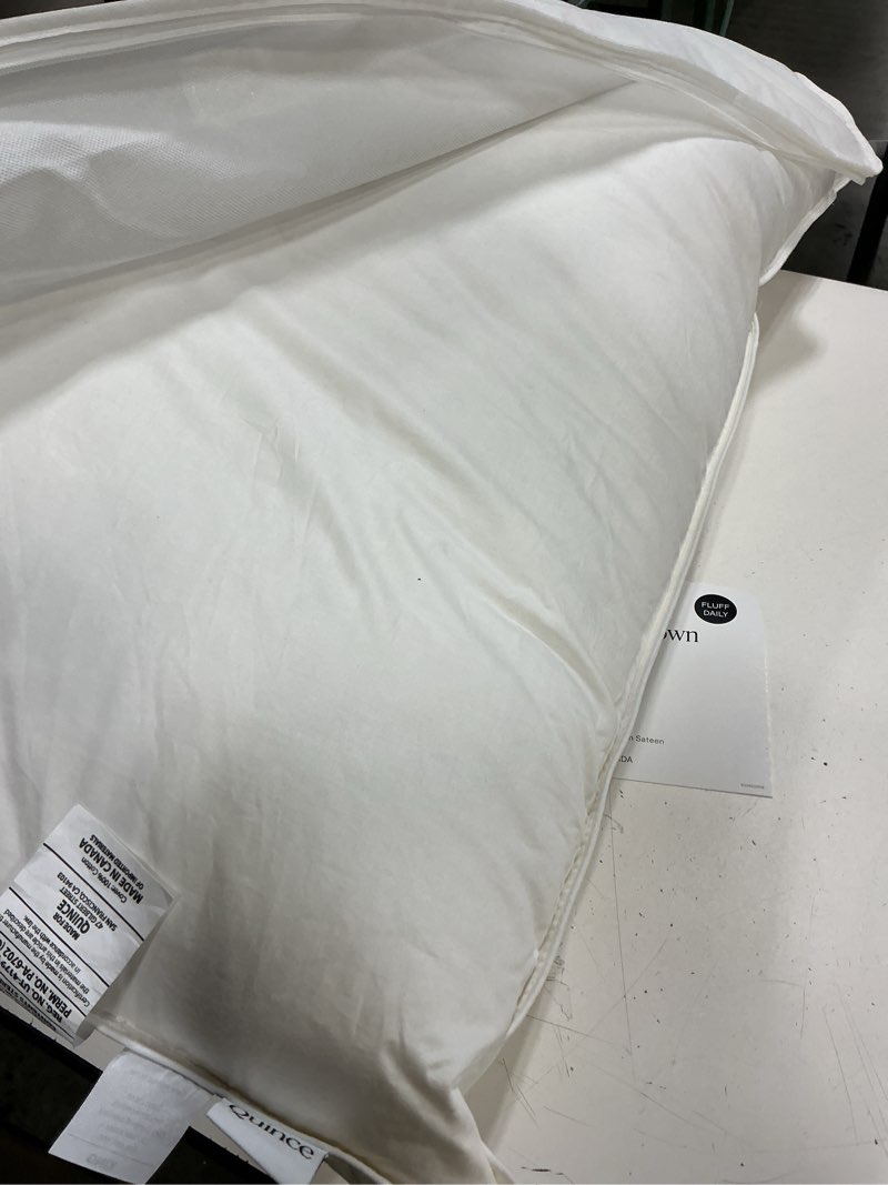 Condition photo showing Good Condition for quince, goose down pillow (king) firm/ extra firm 750 fill power (white)