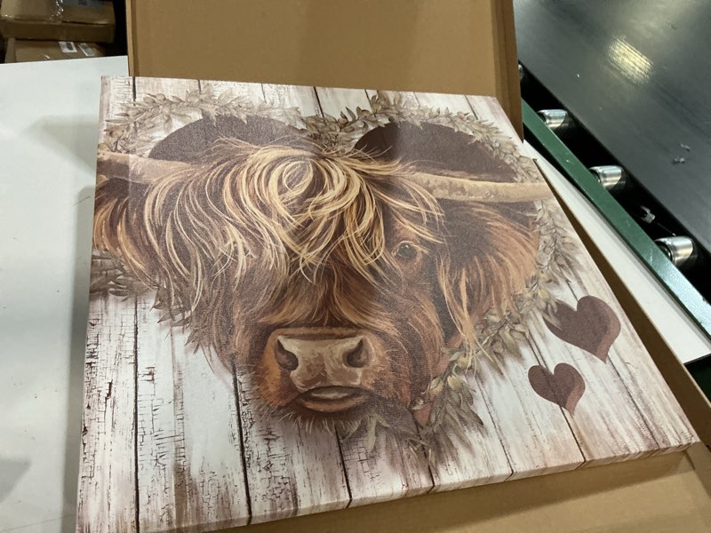 Condition photo showing Good Condition for YUEYARIT Highland Cow Decor Canvas Print Art Farmhouse Picture Gifts to Hang in Bathroom, Diningroom, Livingroom, Office, Bedroom, Kitchen.…