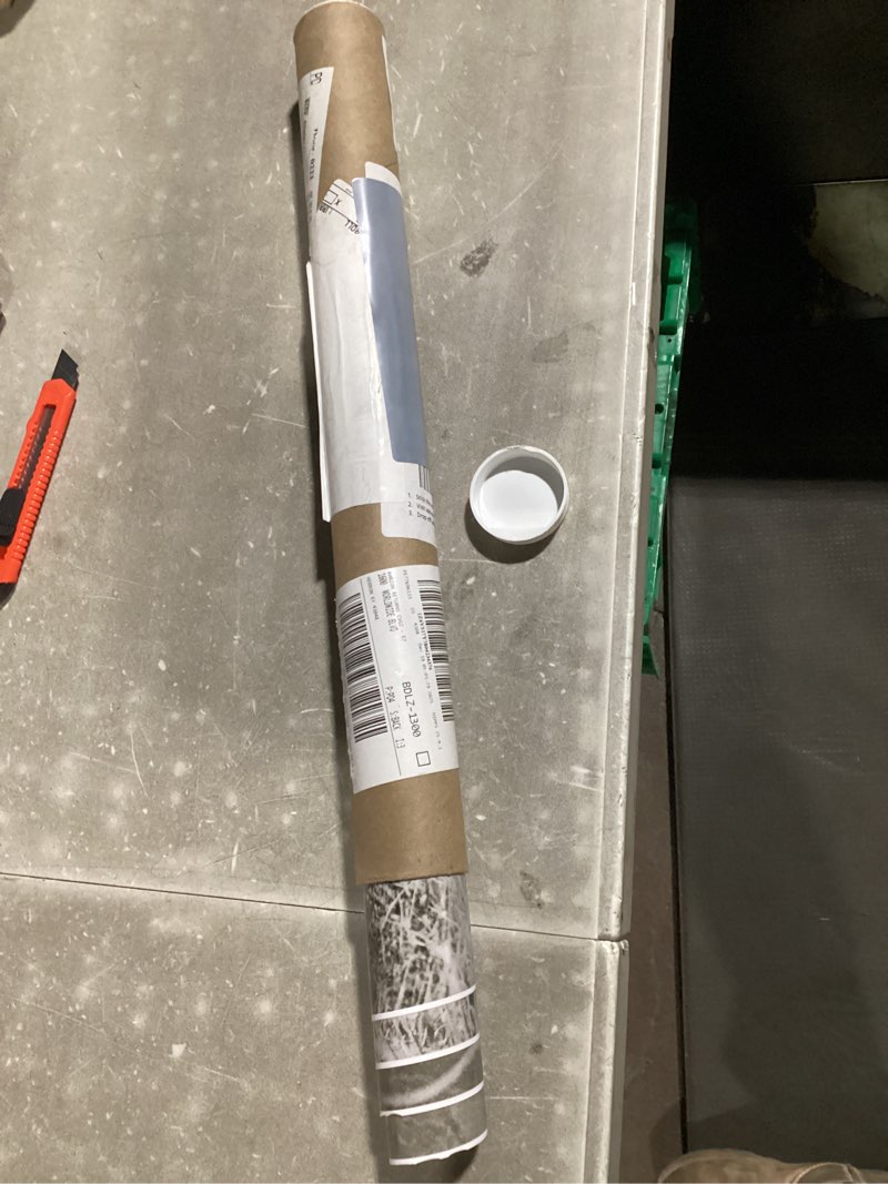 Posterazzi Geronimo-Apache-1886 Poster Print by Anonymous, (11 x 14)