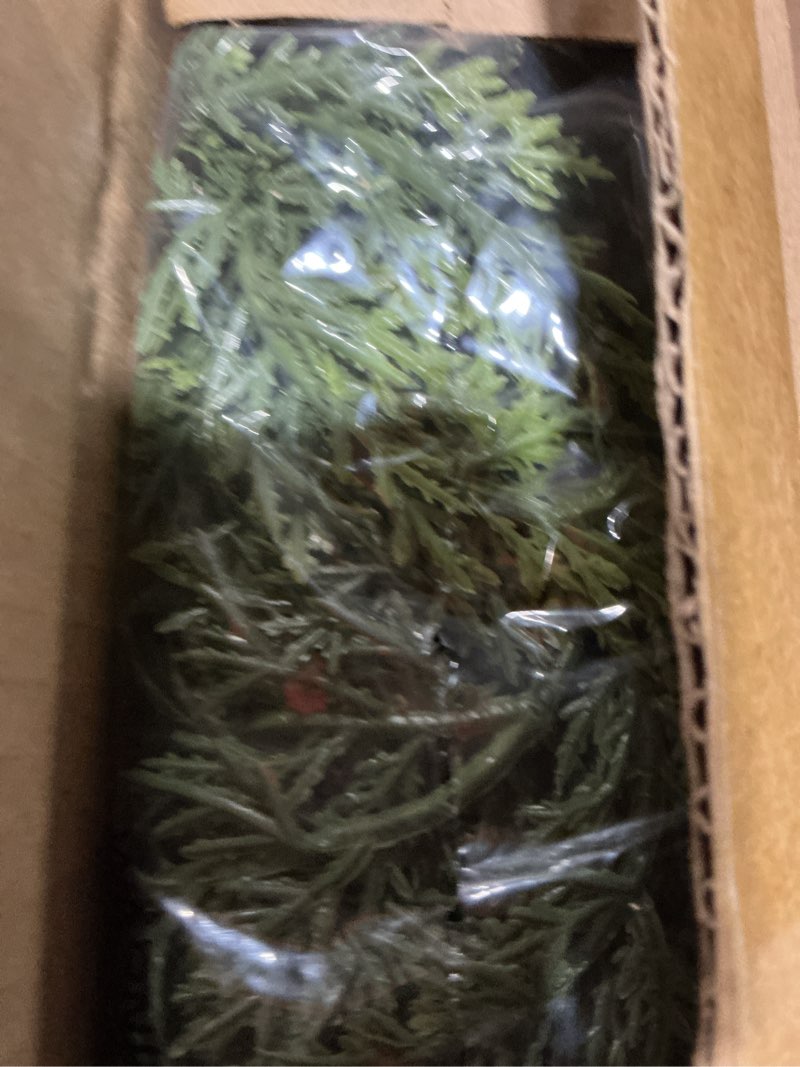 Condition photo showing Good Condition for Real Touch Cedar Garland Artificial Realistic Christmas Garlands Faux Green Cedar Fake Pine Needles Garland for Mantle Indoor Home Holiday Pine Garlands Christmas Decorations Outdoor Xmas 6FT 1