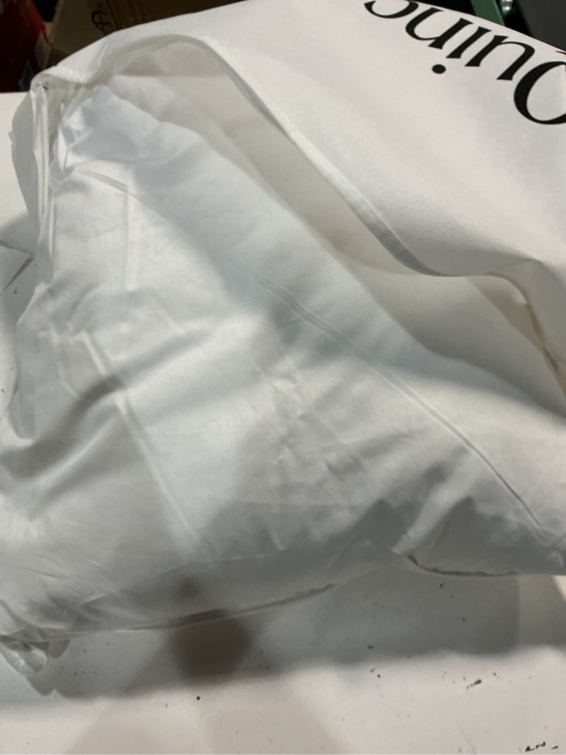 Condition photo showing As Is for quince luxe goose down pillow standard size soft medium