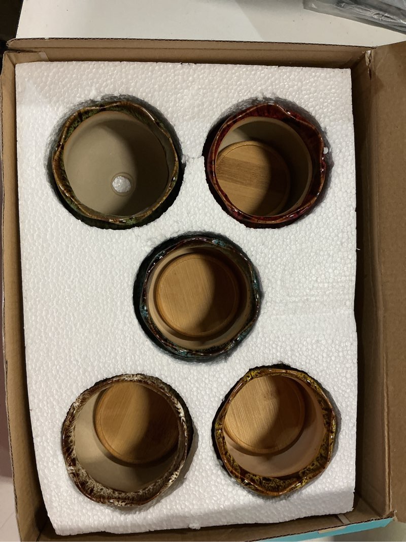 Condition photo showing Good Condition for cute ceramic succulent garden pots, planter with drainage and attached saucer, set of 5 -plants not included (fambe)