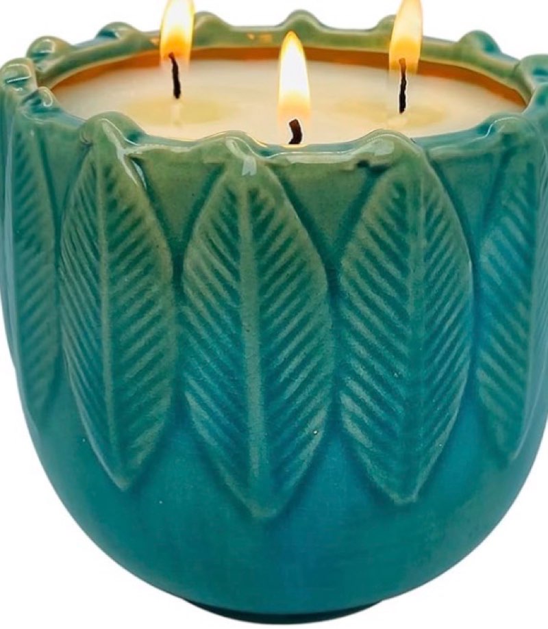 citronella candle outdoor, 20oz 3-wick large exquisite ceramic citronella candle, natural essential oils & soy wax scented candle, indoor outdoor ambiance enhancing centerpiece candles