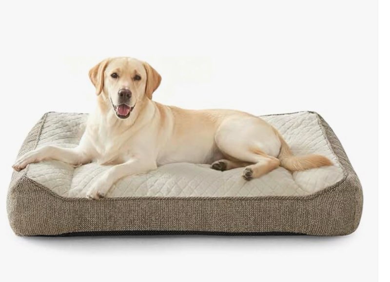 joejoy xl orthopedic dog beds large sized dog, extra thick supportive big dogs couch bed with sides,