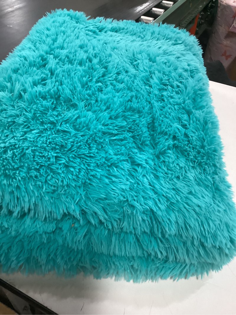 Condition photo showing As Is for Teal Blue Shag Rug for Bedroom, 4x5.9 Feet Fluffy Area Rugs for Living Room and Nursery, Soft and Comfy, Fuzzy Carpet for Girls Boys Kids Room Dorm Home Decor Aesthetic, Upgrade Non Slip 4' x 6' (Rectangular) Teal Blue