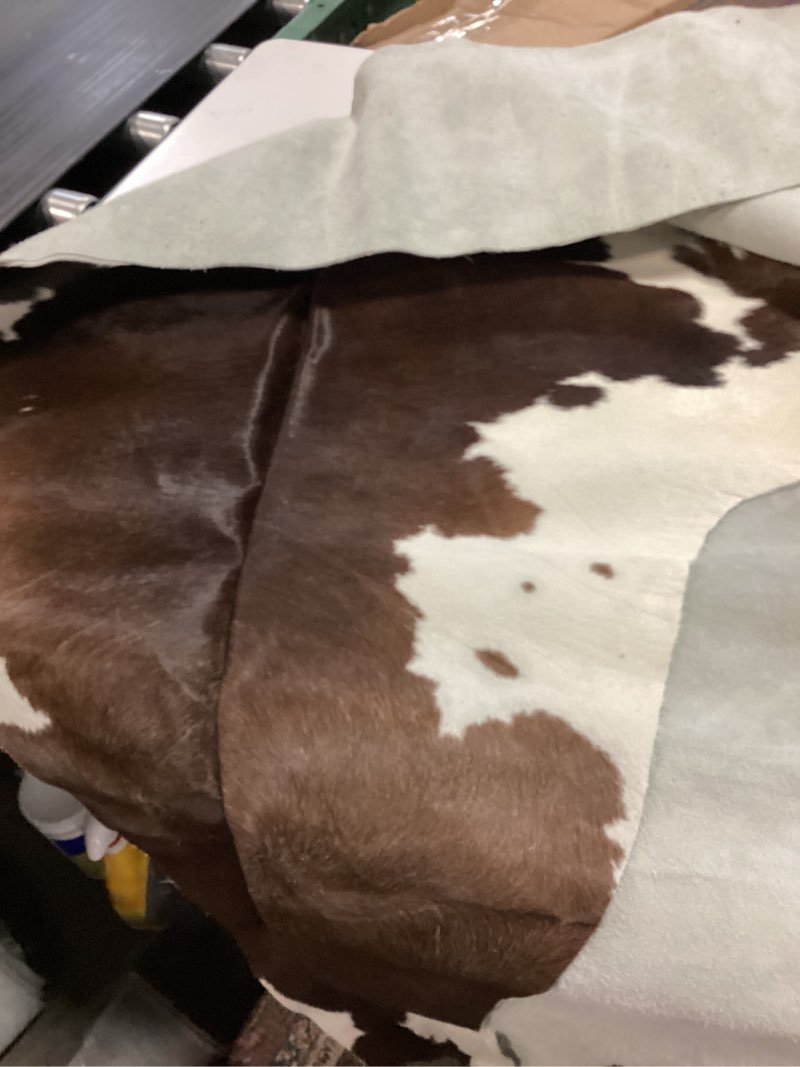 Condition photo showing As Is for Traditional Black & White Cowhide 5 x 7