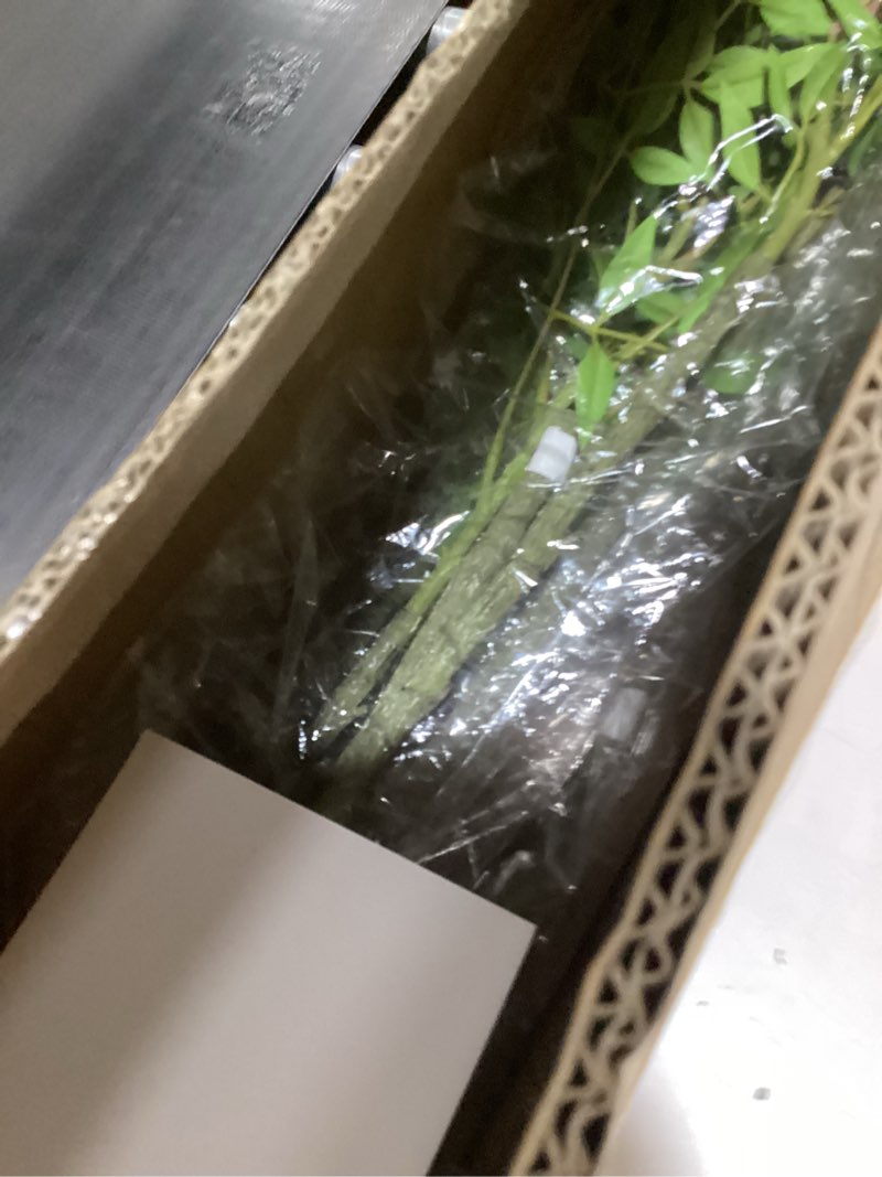 Condition photo showing Good Condition for 6ft Faux Bamboo Tree Artificial Nandina Tree Artificial Indoor Plants Realistic Fake Potted Tree with 800+ Leaves, Cement Planter - Home Office Decor Perfect for Housewarming Gift Non-Toxic 6ft Mixcolor