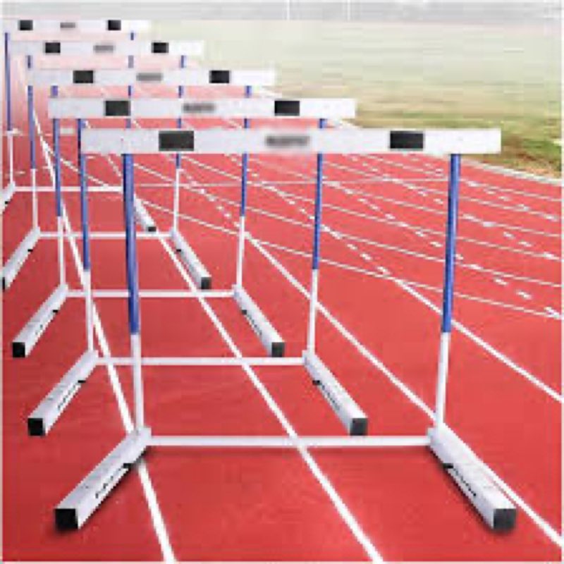DRKSBESTO Adjustable Track and Field Hurdles Height Sports Training Hurdle with Counterweight Heavy 