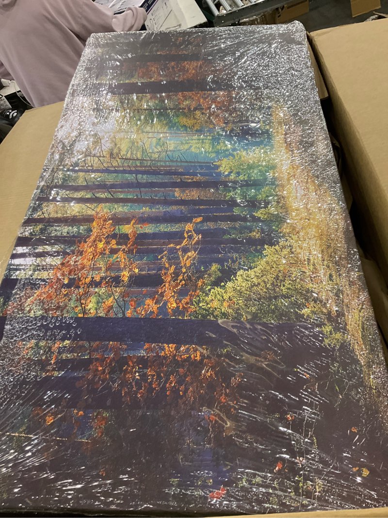 picture canvas decor