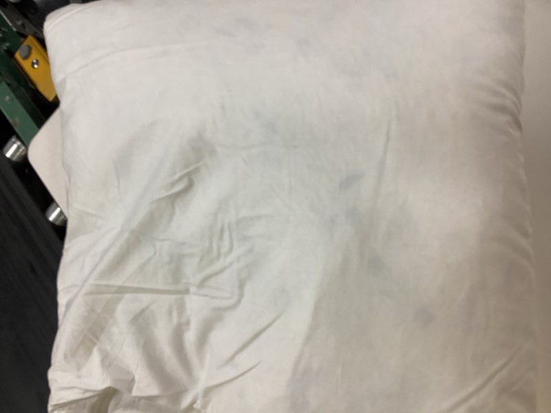 Condition photo showing As Is for premium feather pillow insert , 20x20, no color