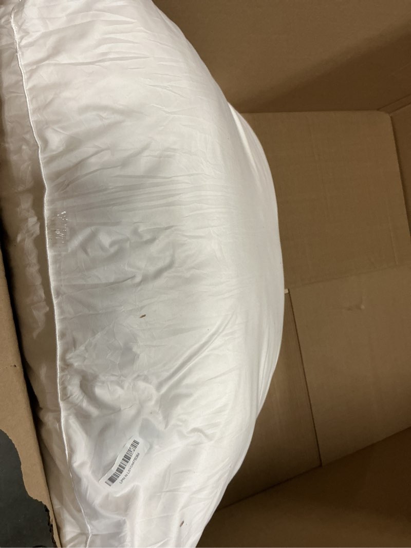 Condition photo showing Good Condition for WINGLAM Throw Pillow Inserts 1-Pack, 38x38 Inches Square Decorative Pillow Stuffers, Hypoallergenic Ultra Soft Lightweight Down Alternative Polyester, White Sham Stuffer Pillows?1? White 38x38 Inches of 1