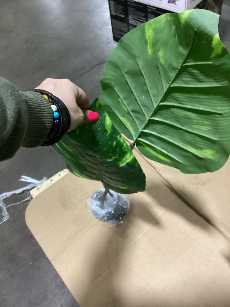 Condition photo showing Good Condition for Komodo Jumbo Guiana Terrarium Plant: Realistic Leafy Design for Reptile Habitat