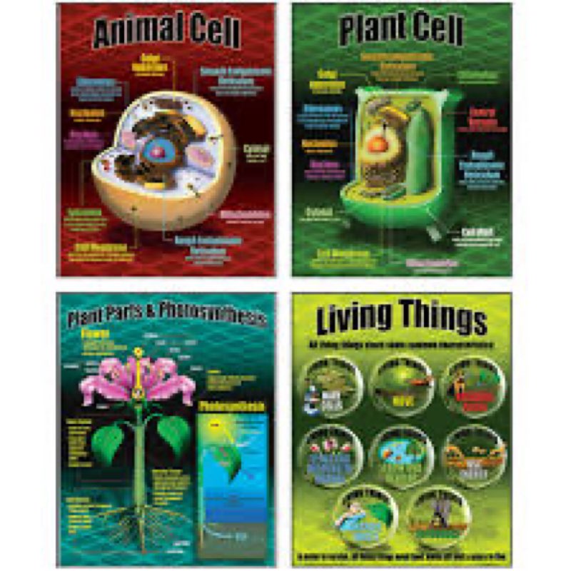 McDonald Publishing Life Science Poster Set (P077)