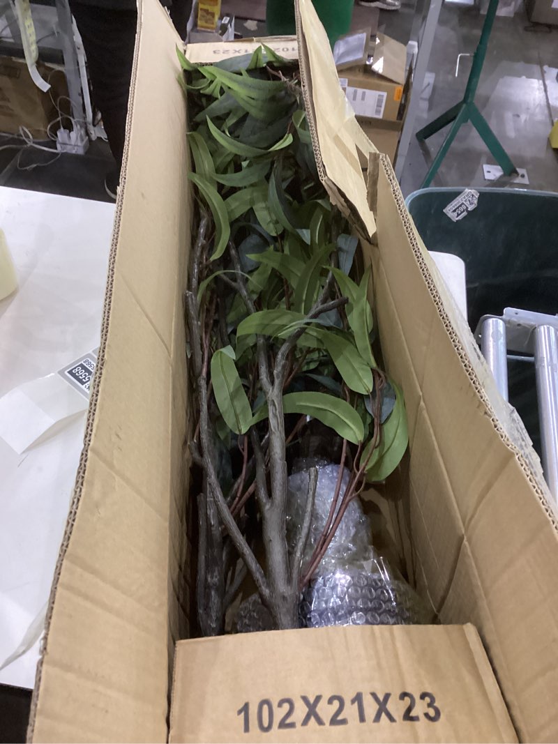 Condition photo showing Good Condition for Artificial Eucalyptus Tree 7ft(84in) Faux Floor Potted Tree for Indoor Decor Large Realistic Trees Plants with Silk Leaves and Natural Wood Trunk for Home Living Room,Office Foyer Decor. Eucalyptus Tree(2) 7ft