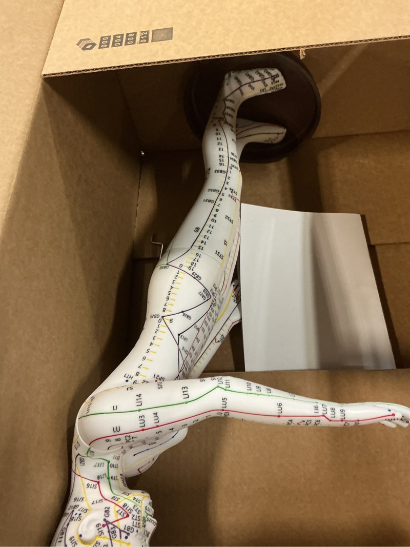 Condition photo showing Good Condition for acupuncture model, human acupoint model 20.5in full body silicone professionals clear identification with base for chinese medicine teaching acupoint student demonstration (female? female white