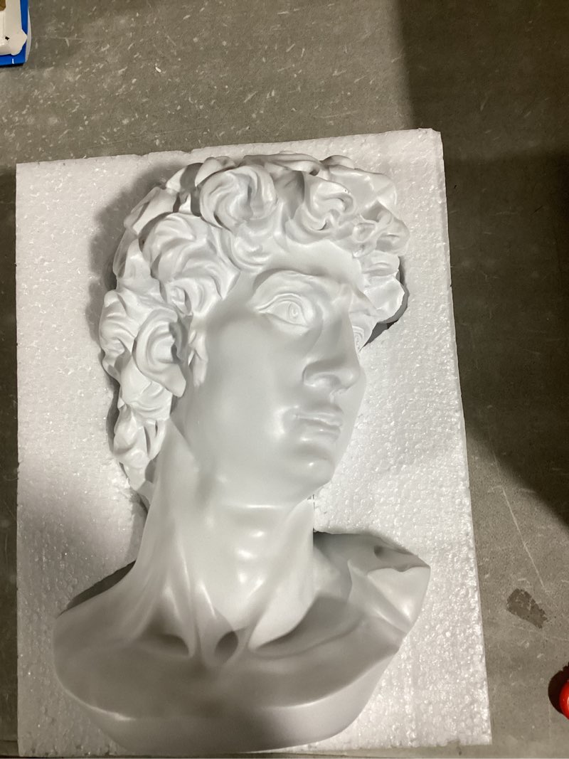 Condition photo showing New/Like New for Small David Head Portraits Bust Statue White Mini Resin Crafts Elegant Home Decoration Character Bust Sculpture