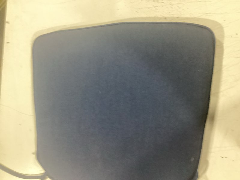 Condition photo showing Good Condition for member's mark 18" dining cushion with sunbrella fabric
