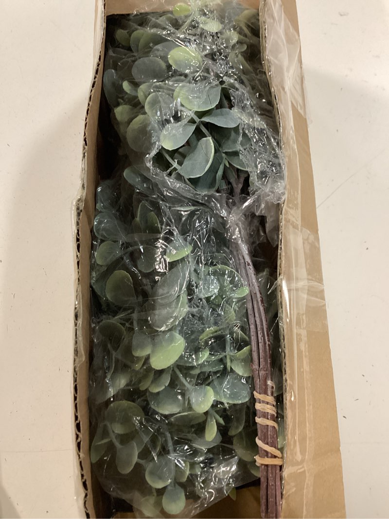 Condition photo showing As Is for zekonan 40 pcs artificial greenery eucalyptus stem silver dollar leaves baby eucalyptus leaves suitable for family wedding vase centerpieces bouquet flower arrangement
