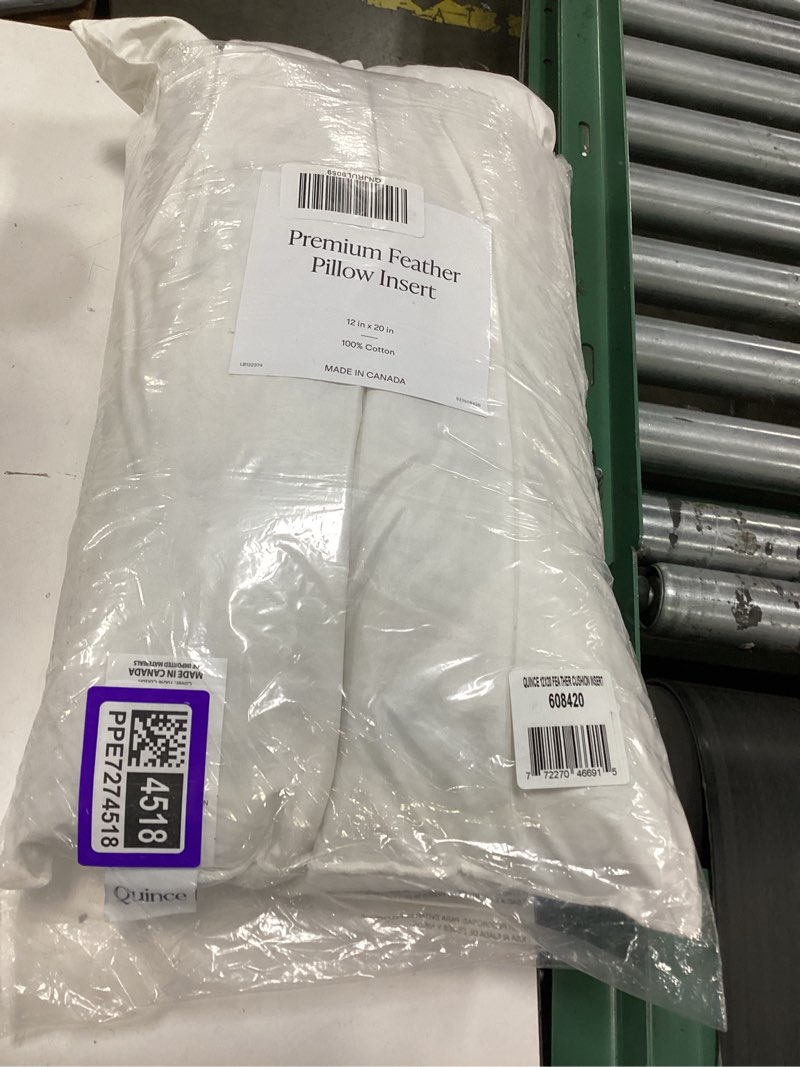 Condition photo showing Good Condition for premium feather pillow insert, 12x20, no color
