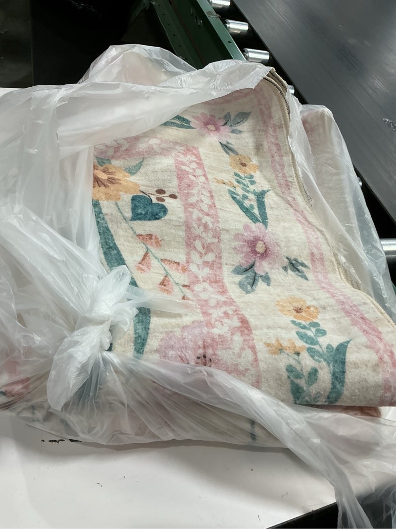 Condition photo showing Good Condition for  Unknown size Loloi Rifle Paper Co. Eden Collection EDE-01 Mughal Rose Blush Accent Rug feat. CloudPile™